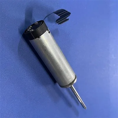 Bàn chải đánh răng điện Động cơ không chổi than
